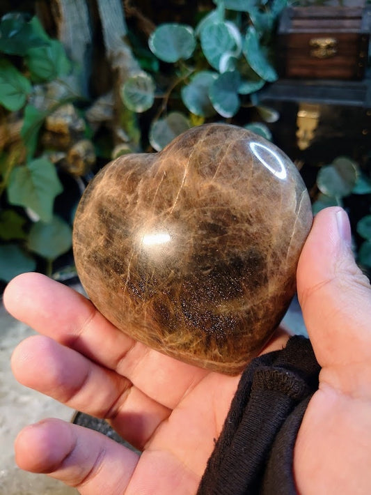 386g Black Moonstone Heart from Madagascar for Altar and Home Decor / Energy Work / Crystal Healing / Reiki