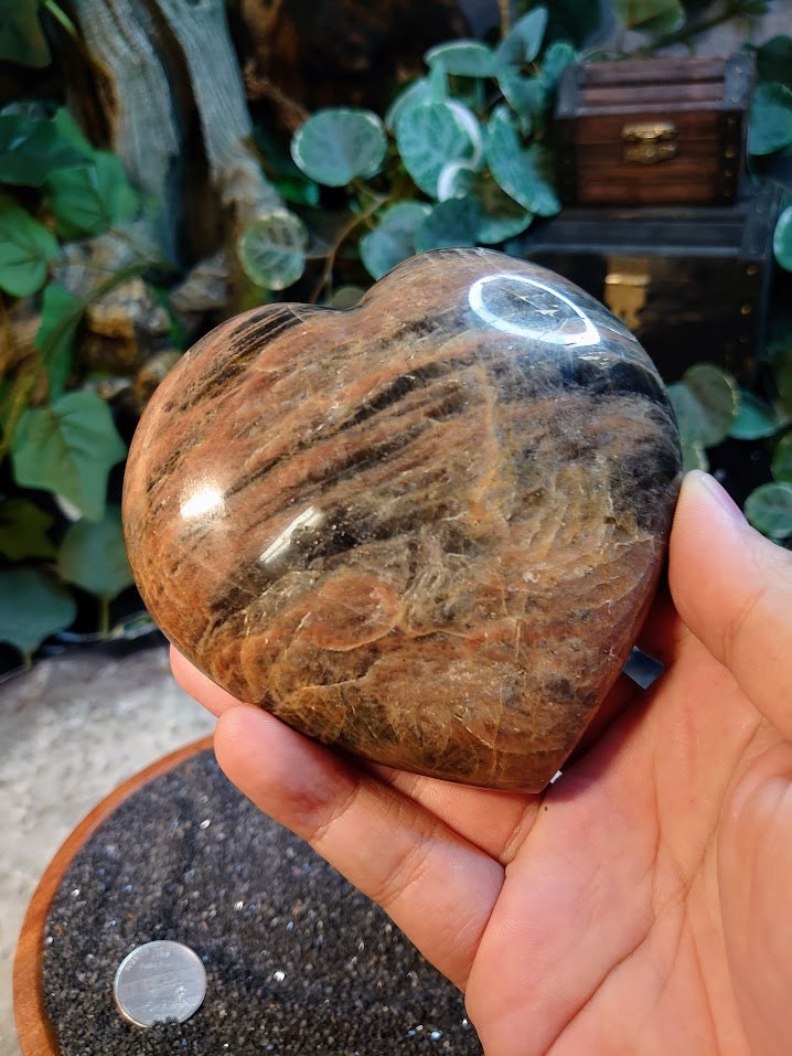 504g Black Moonstone Heart from Madagascar for Altar and Home Decor / Energy Work / Crystal Healing / Reiki