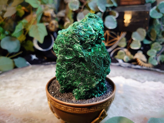 390g Silky Fibrous Malachite Specimen from Kasompe, Congo for Home and Altar Decor / Collection / Crystal Healing