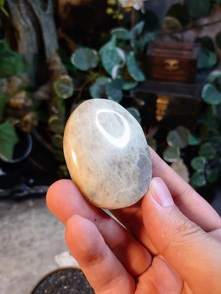 Moonstone/Sunstone Palmstone from Madagascar for Crystal Healing/ Reiki/ Meditation/ Crystal & Mineral Collectors