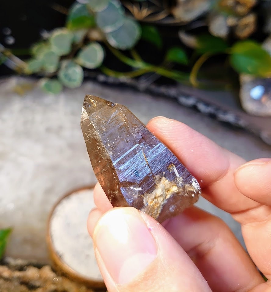 30.7g Natural Smoky Quartz Point from Malawi, Africa for Collection / Home and Altar Decor / Protection / Crystal Healing