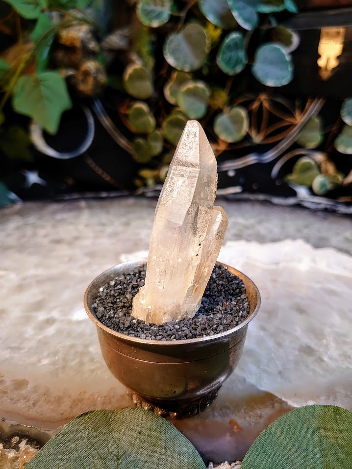 33g Congo Lemurian Clear Quartz Cluster from DRC for Crystal Healing / Meditation / Collection