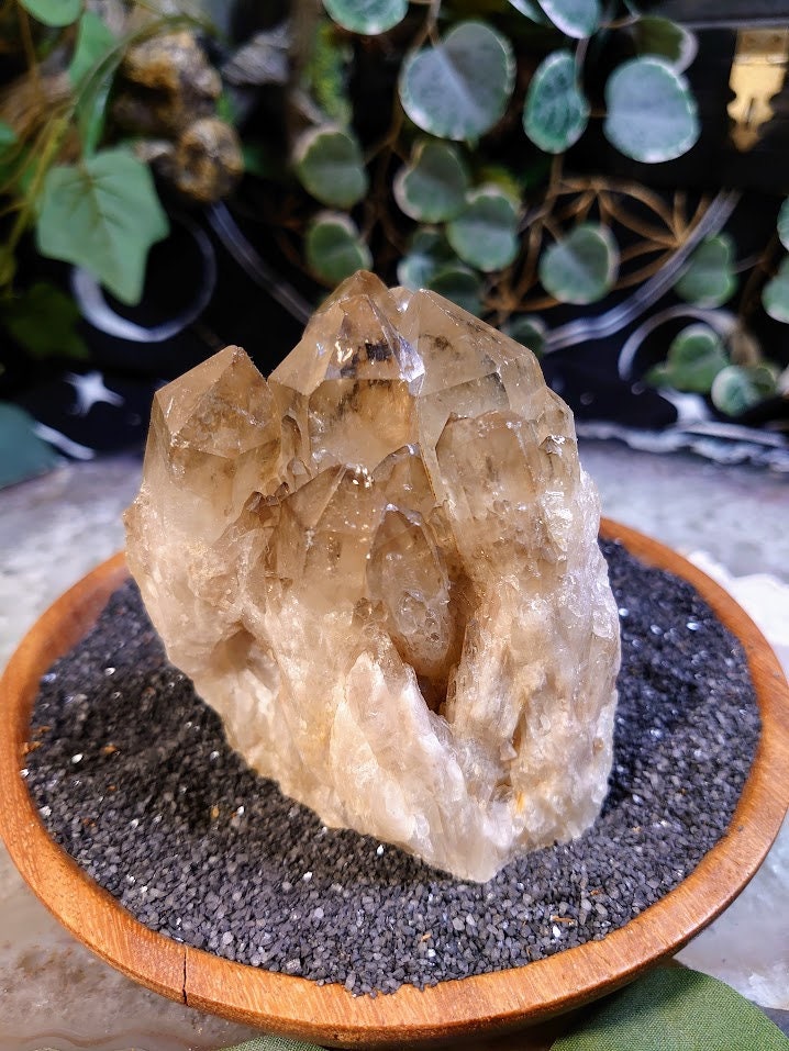 446g Natural Kundalini Congo Citrine Cluster for Altar and Home Decor / Energy Work / Crystal Healing / Reiki