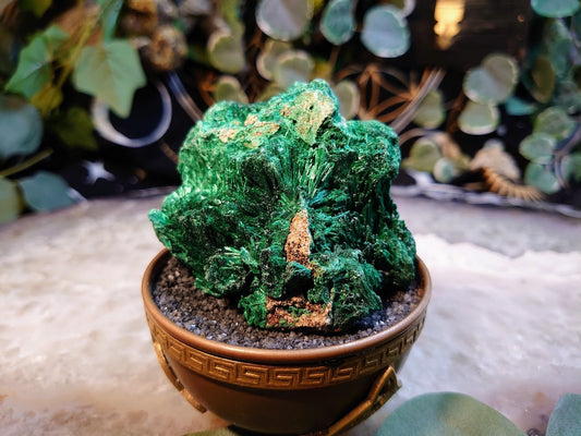 215g Silky Fibrous Malachite Specimen from Kasompe, Congo for Home and Altar Decor / Collection / Crystal Healing