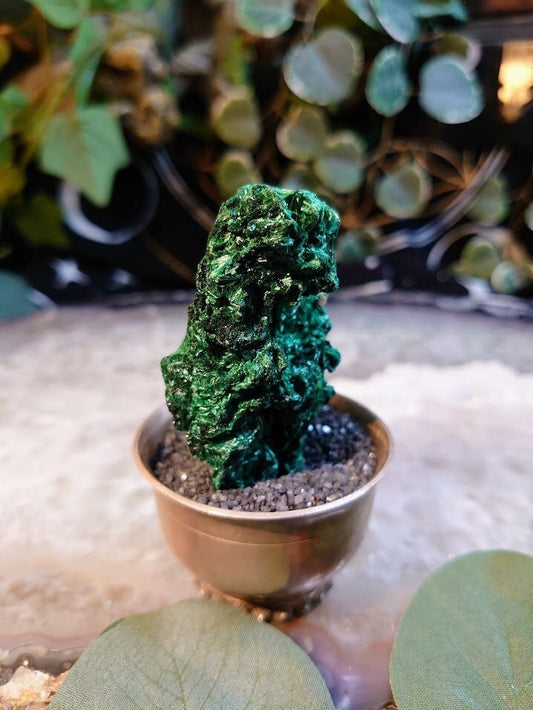 80.2g Silky Fibrous Malachite Specimen from Kasompe, Congo for Home and Altar Decor / Collection / Crystal Healing