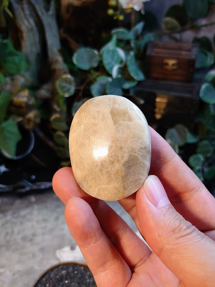 Moonstone/Sunstone Palmstone from Madagascar for Crystal Healing/ Reiki/ Meditation/ Crystal & Mineral Collectors