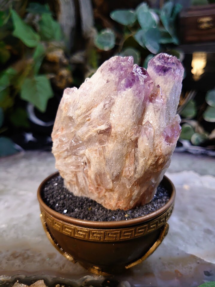 291g Light Purple Amethyst Cluster from Zambia for Altar and Home Decor / Energy Work / Crystal Healing / Reiki