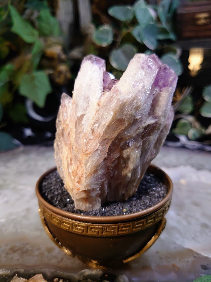 291g Light Purple Amethyst Cluster from Zambia for Altar and Home Decor / Energy Work / Crystal Healing / Reiki