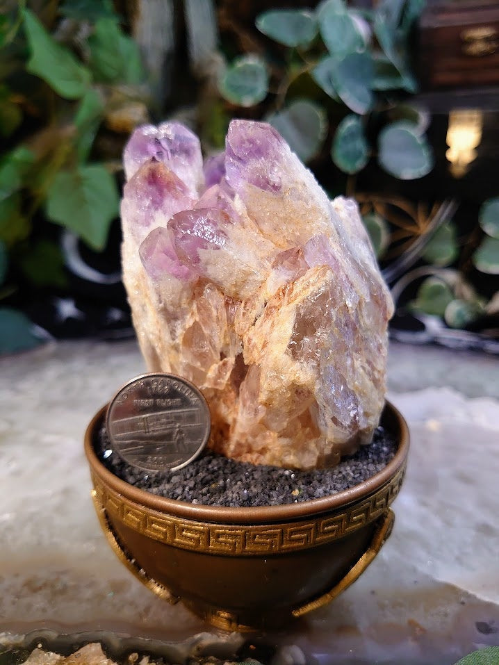 291g Light Purple Amethyst Cluster from Zambia for Altar and Home Decor / Energy Work / Crystal Healing / Reiki