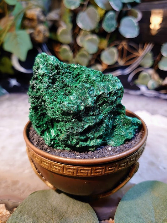 152g Silky Fibrous Malachite Specimen from Kasompe, Congo for Home and Altar Decor / Collection / Crystal Healing