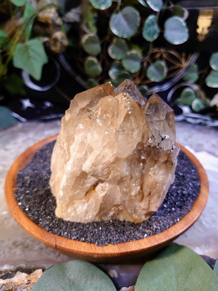 446g Natural Kundalini Congo Citrine Cluster for Altar and Home Decor / Energy Work / Crystal Healing / Reiki