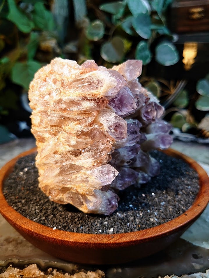 578g Light Purple Amethyst Cluster from Zambia for Altar and Home Decor / Energy Work / Crystal Healing / Reiki