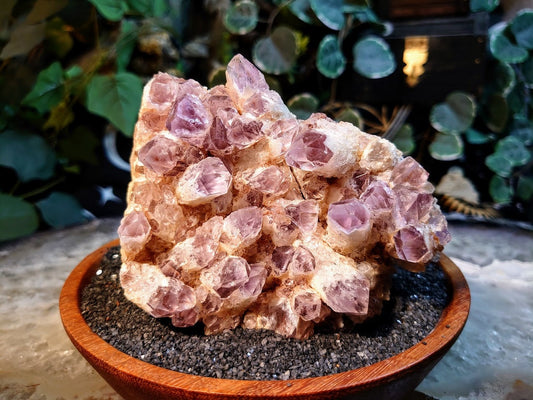 578g Light Purple Amethyst Cluster from Zambia for Altar and Home Decor / Energy Work / Crystal Healing / Reiki