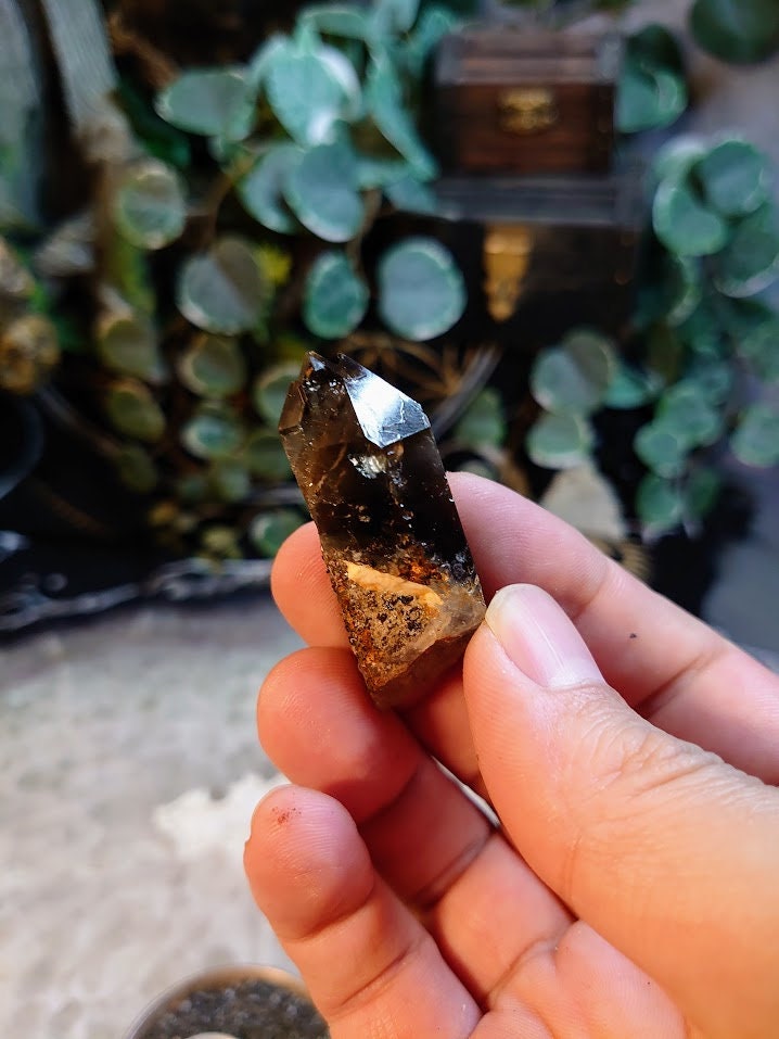 19.8g Natural Smoky Quartz Cluster from Malawi, Africa for Collection / Home and Altar Decor / Protection / Crystal Healing