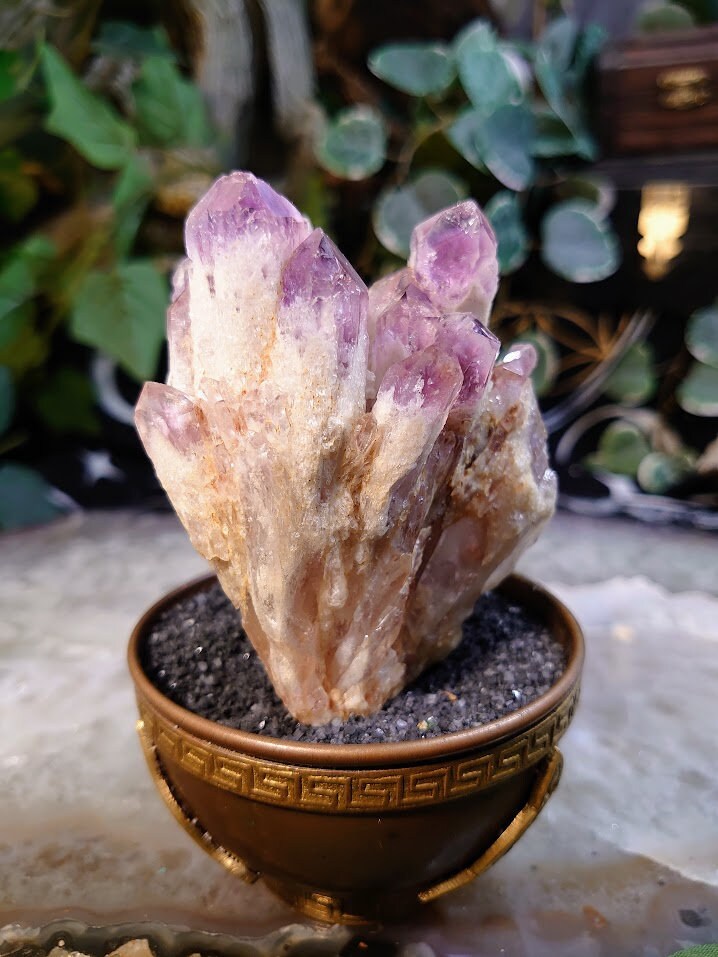 291g Light Purple Amethyst Cluster from Zambia for Altar and Home Decor / Energy Work / Crystal Healing / Reiki