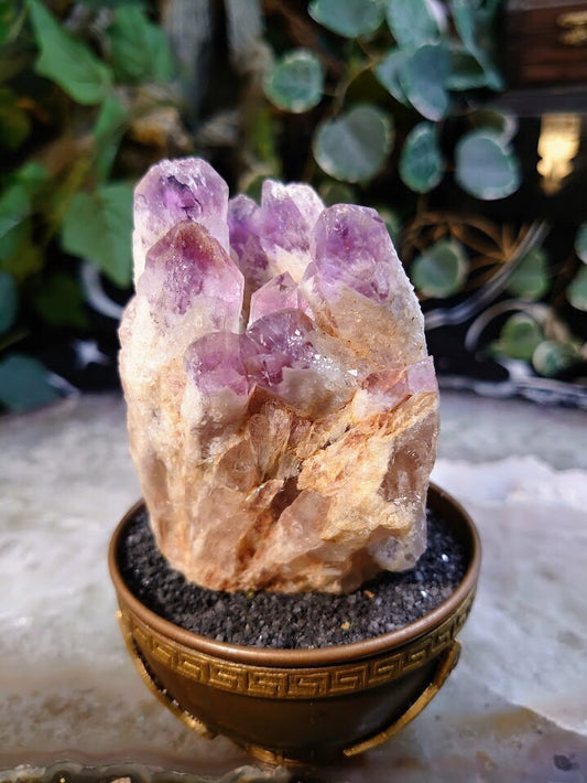 291g Light Purple Amethyst Cluster from Zambia for Altar and Home Decor / Energy Work / Crystal Healing / Reiki