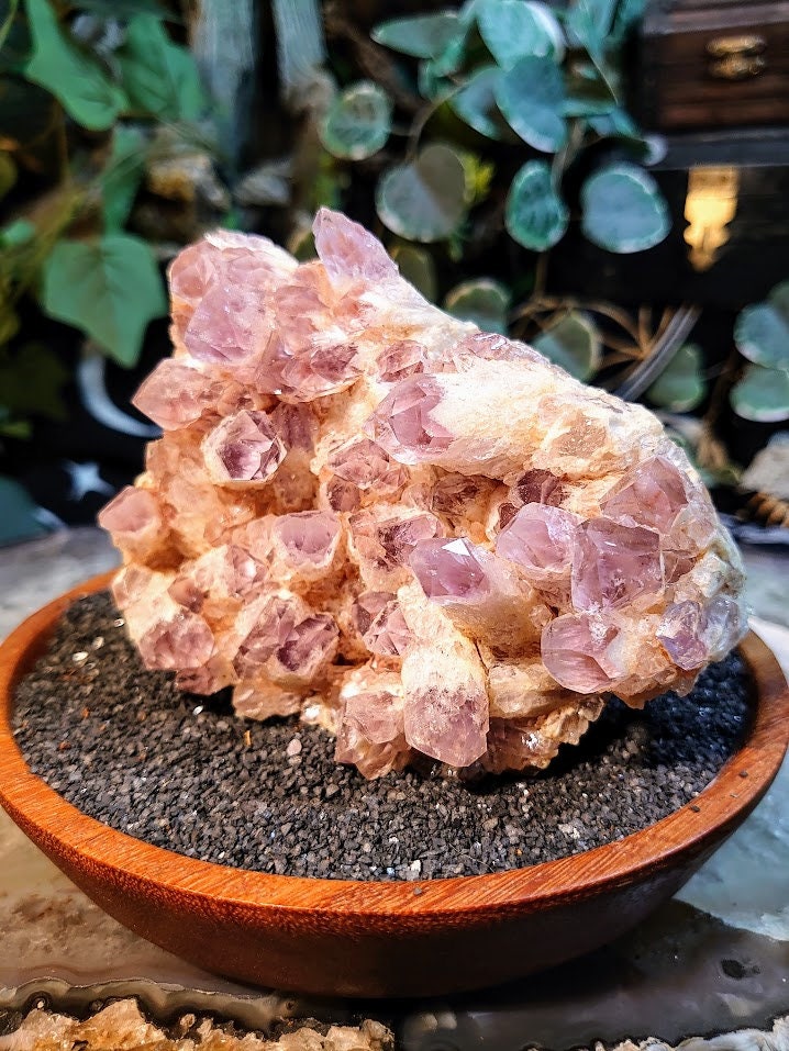 578g Light Purple Amethyst Cluster from Zambia for Altar and Home Decor / Energy Work / Crystal Healing / Reiki