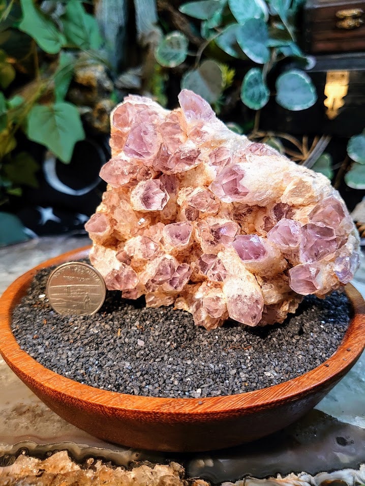 578g Light Purple Amethyst Cluster from Zambia for Altar and Home Decor / Energy Work / Crystal Healing / Reiki