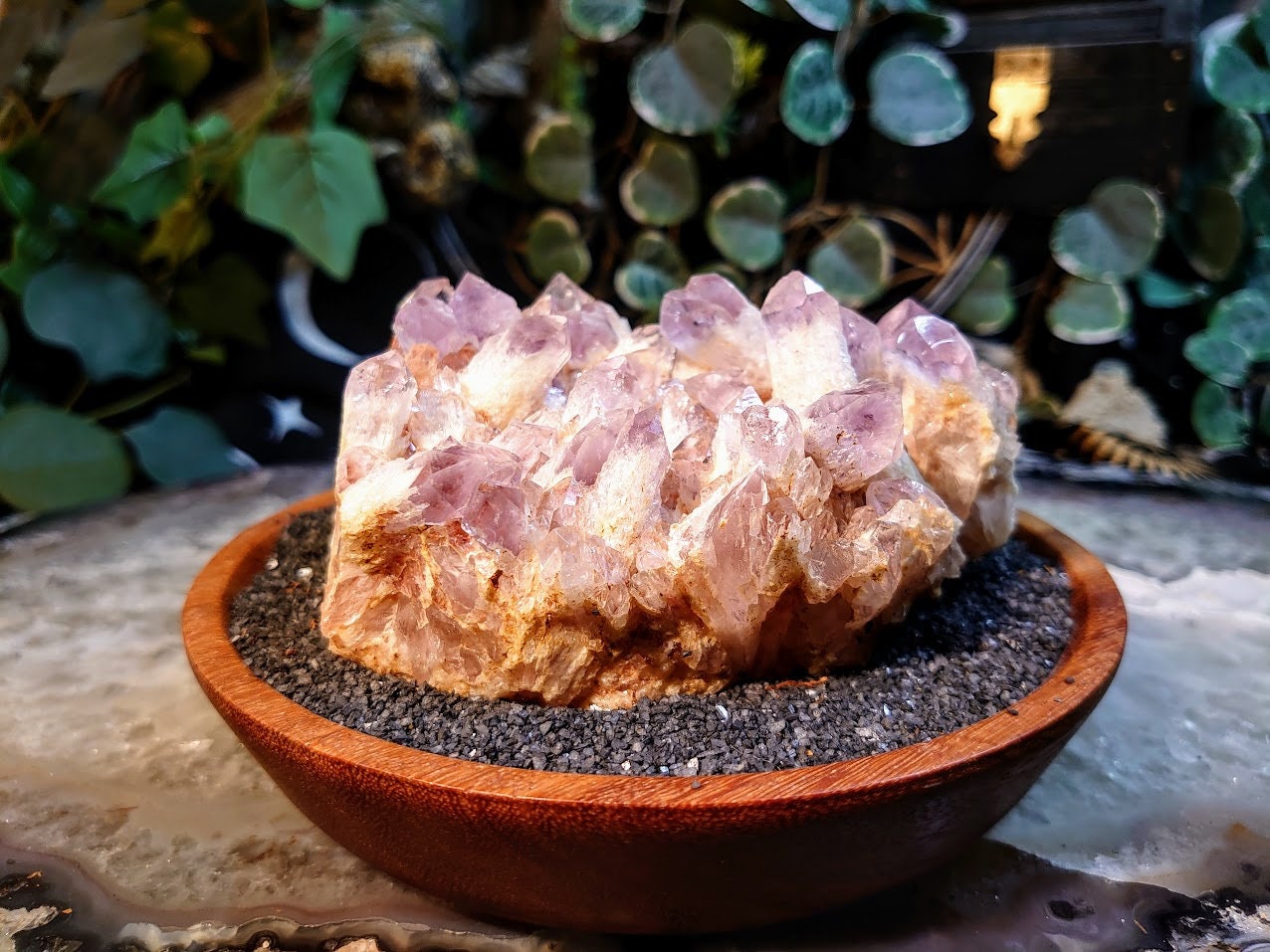 578g Light Purple Amethyst Cluster from Zambia for Altar and Home Decor / Energy Work / Crystal Healing / Reiki