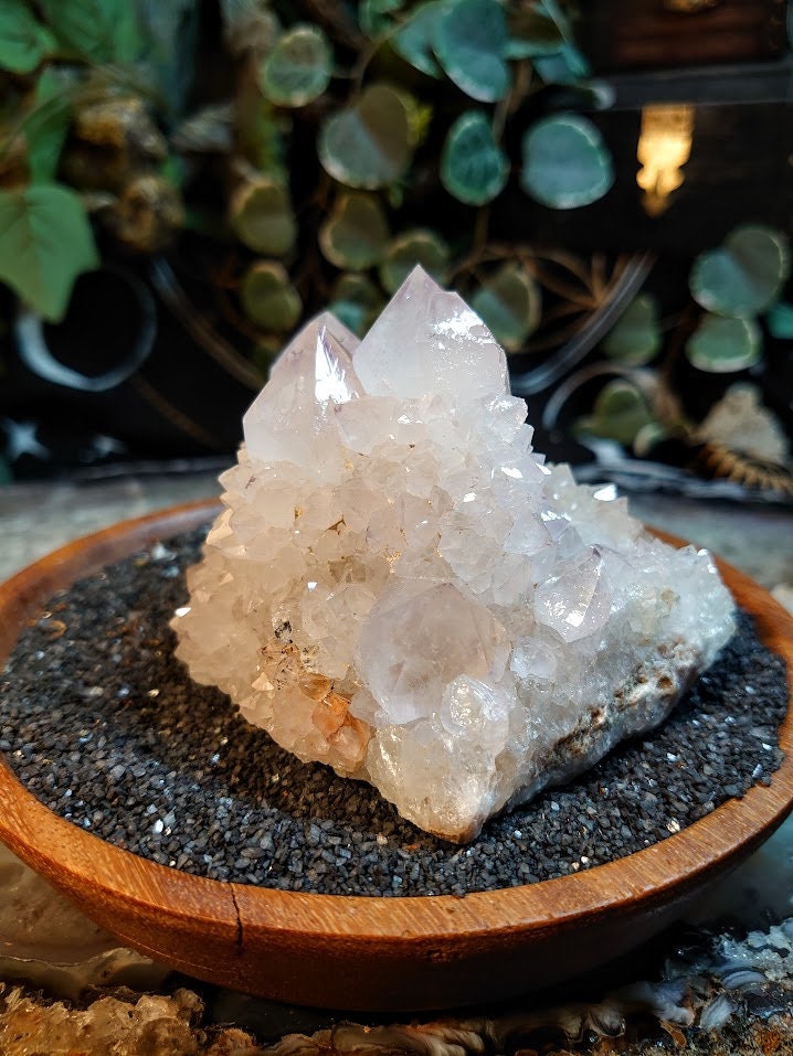 564g Beautiful Fairy Quartz Cluster from ZA / White Spirit Quartz / Natural / for Crystal Healing / Meditation / Gifting & Housewarming