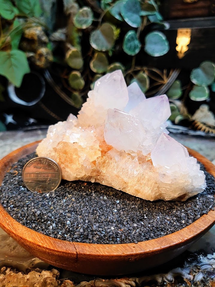 564g Beautiful Fairy Quartz Cluster from ZA / White Spirit Quartz / Natural / for Crystal Healing / Meditation / Gifting & Housewarming