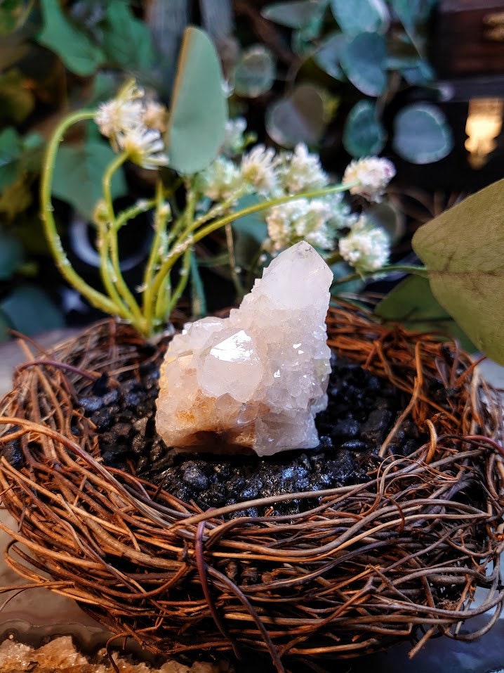 77g Fairy Quartz Cluster from ZA / White Spirit Quartz / Natural / for Crystal Healing / Meditation / Gifting & Housewarming