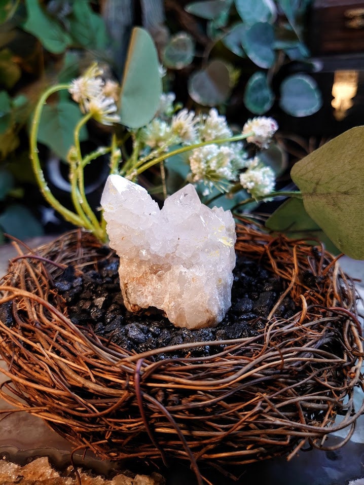 77g Fairy Quartz Cluster from ZA / White Spirit Quartz / Natural / for Crystal Healing / Meditation / Gifting & Housewarming