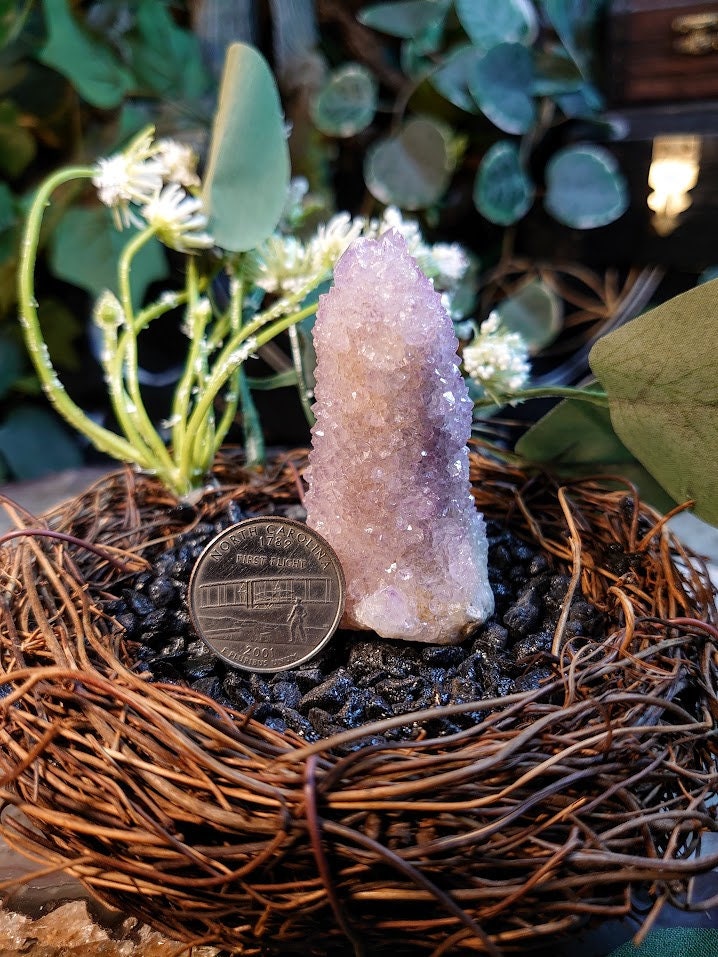 65g Spirit Quartz Cluster from ZA / Cactus Quartz / Spirit Amethyst for Crystal Healing / Meditation/ Reiki / Gifting