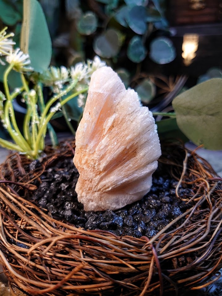 105g Stilbite Crystal from Maharashtra, India / Zeolite / for Home & Altar Decoration / Reiki / Energy Work