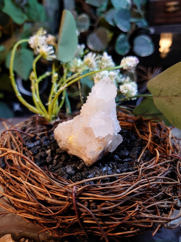 77g Fairy Quartz Cluster from ZA / White Spirit Quartz / Natural / for Crystal Healing / Meditation / Gifting & Housewarming