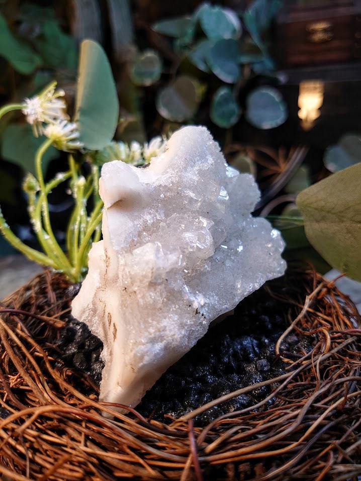 182g Apophyllite Cluster from Maharashtra, India / Zeolite / for Home & Altar Decoration / Reiki / Energy Work