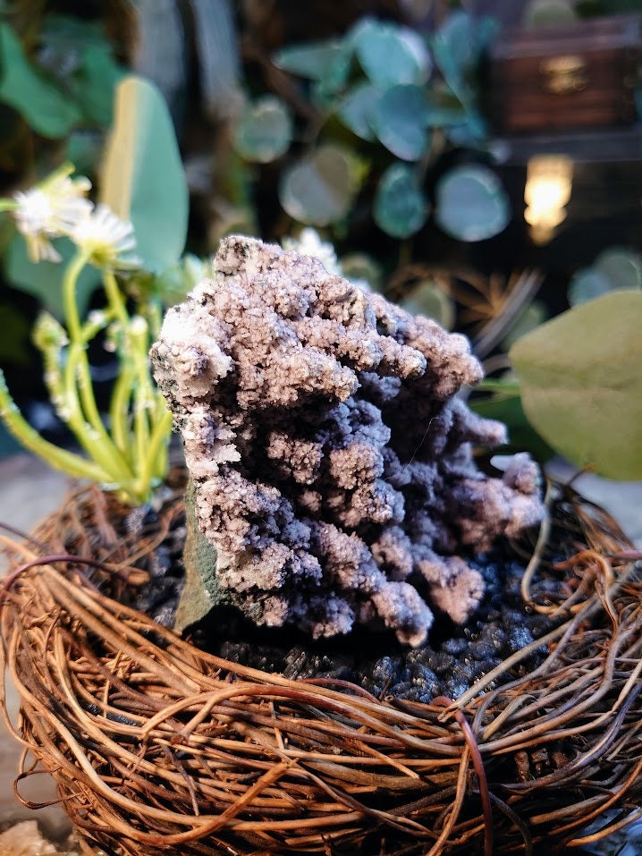 159g Zeolite Cluster with Calcite on Matrix from Maharashtra, India / for Home & Altar Decoration / Reiki / Energy Work