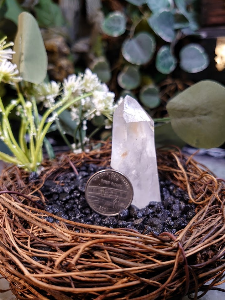 Colombian Clear Quartz Point for Crystal Healing / Natural Clear Quartz / 38.8g / Collection / Meditation / Reiki