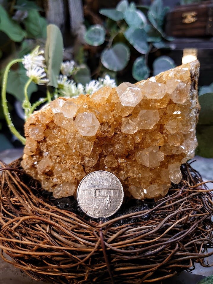 358g Natural Limonite Golden Healer Quartz/Citrine Geode from Zambia, Africa for Crystal Healing / Reiki / Home & Altar Decor