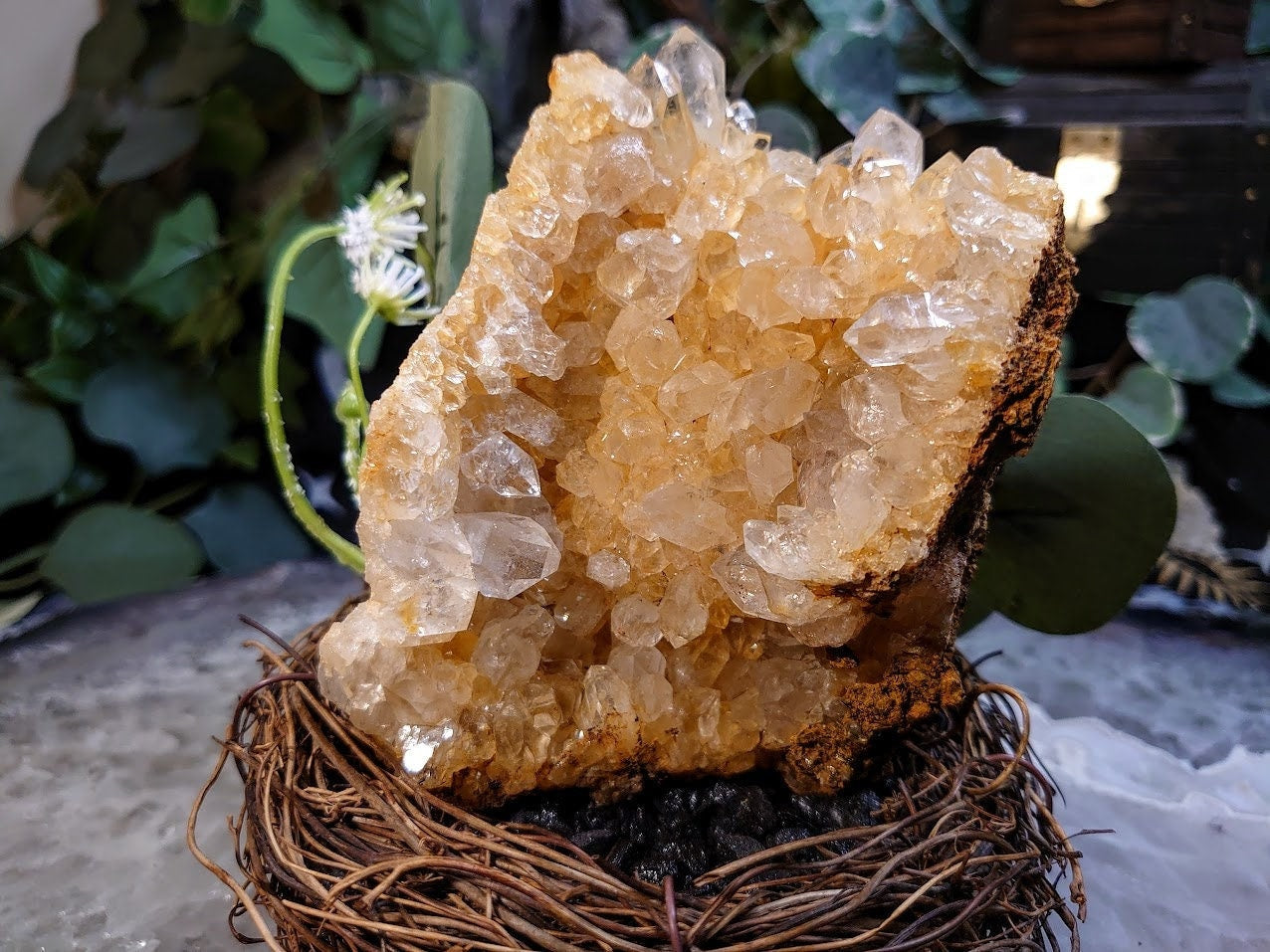 479g Natural Limonite Golden Healer Quartz/Citrine Geode from Zambia, Africa for Crystal Healing / Reiki / Home & Altar Decor