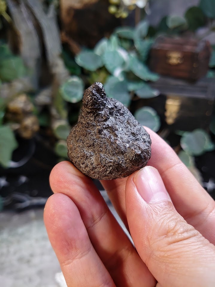 73.6g Egyptian Prophecy Stone for Crystal Healing / Goethite after Marcasite / Crystal Poop / Reiki / Meditation