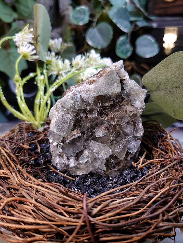 168g Light Smoky Green Fluorite Cluster From United Kingdom for Altar Decor / Meditation / Collection / Energy Work