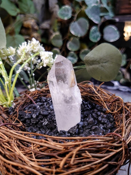 Colombian Clear Quartz Point for Crystal Healing / Natural Clear Quartz / 38.8g / Collection / Meditation / Reiki