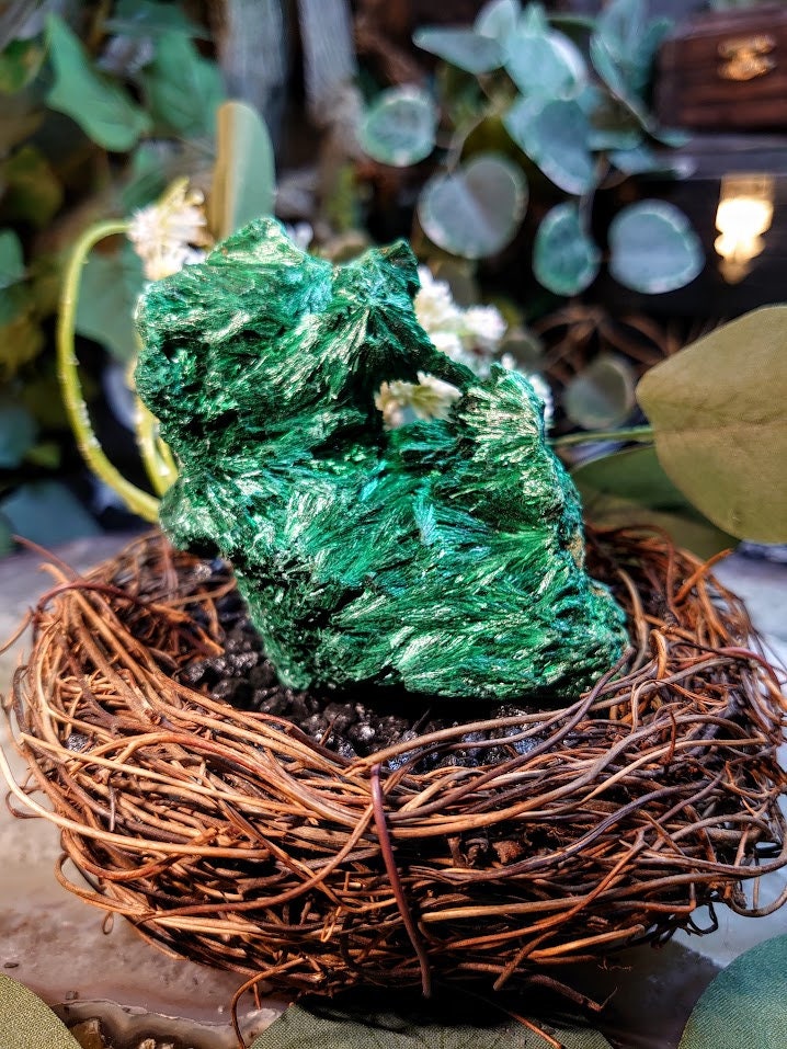 240g Silky Fibrous Malachite Specimen from Kasompe, Congo for Home and Altar Decor / Collection / Crystal Healing