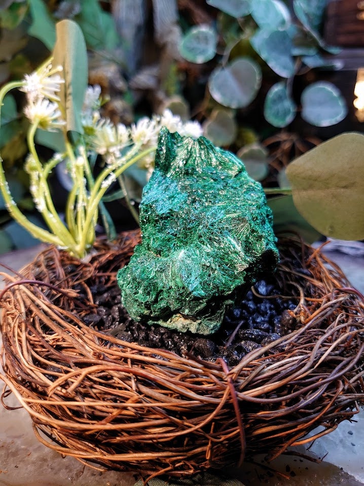 239g Silky Fibrous Malachite Specimen from Kasompe, Congo for Home and Altar Decor / Collection / Crystal Healing