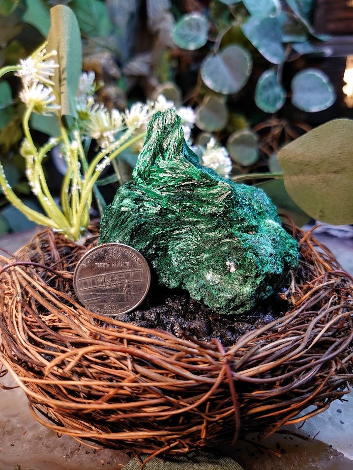 239g Silky Fibrous Malachite Specimen from Kasompe, Congo for Home and Altar Decor / Collection / Crystal Healing