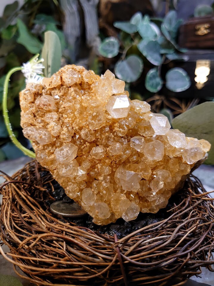 358g Natural Limonite Golden Healer Quartz/Citrine Geode from Zambia, Africa for Crystal Healing / Reiki / Home & Altar Decor