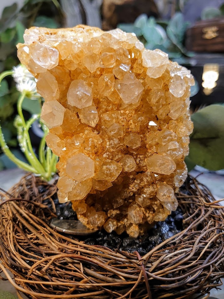 358g Natural Limonite Golden Healer Quartz/Citrine Geode from Zambia, Africa for Crystal Healing / Reiki / Home & Altar Decor