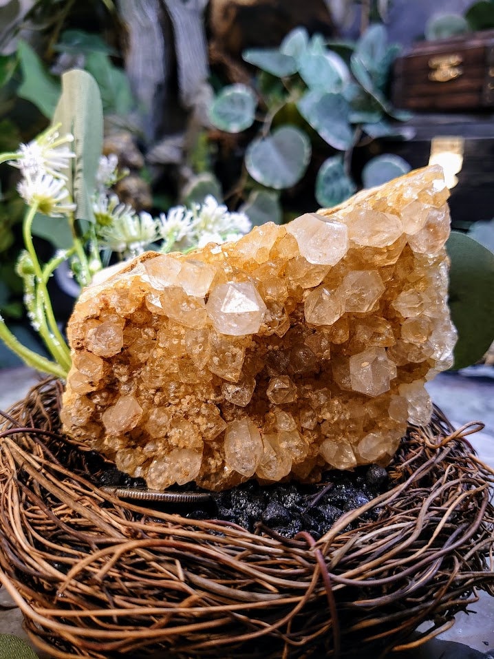 358g Natural Limonite Golden Healer Quartz/Citrine Geode from Zambia, Africa for Crystal Healing / Reiki / Home & Altar Decor