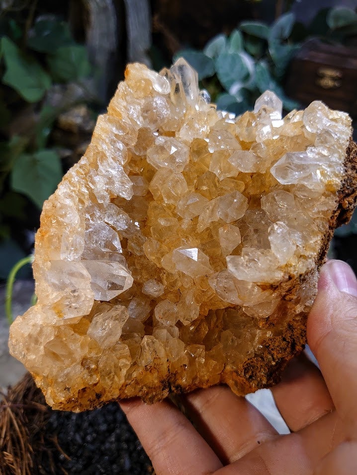 479g Natural Limonite Golden Healer Quartz/Citrine Geode from Zambia, Africa for Crystal Healing / Reiki / Home & Altar Decor