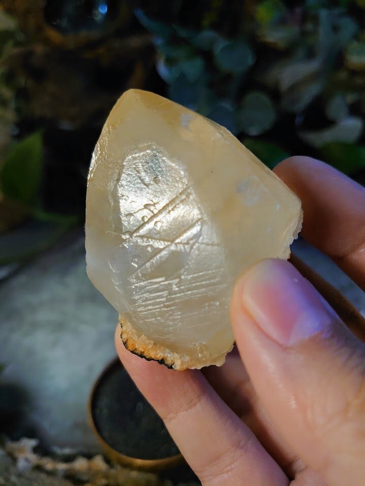 120.4g Golden Dogtooth Calcite Crystal with Rainbows from Maharashtra, India for Collection / Altar and Home Decor / Stellar Beam