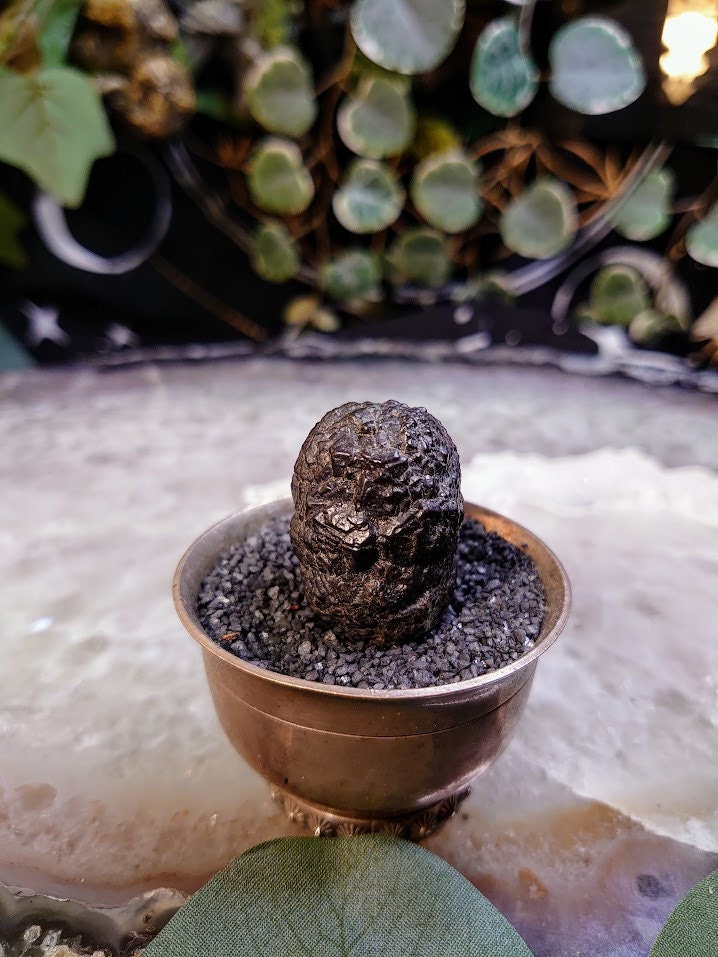 43.5g Egyptian Prophecy Stone for Crystal Healing / Goethite after Marcasite / Crystal Poop / Reiki / Meditation