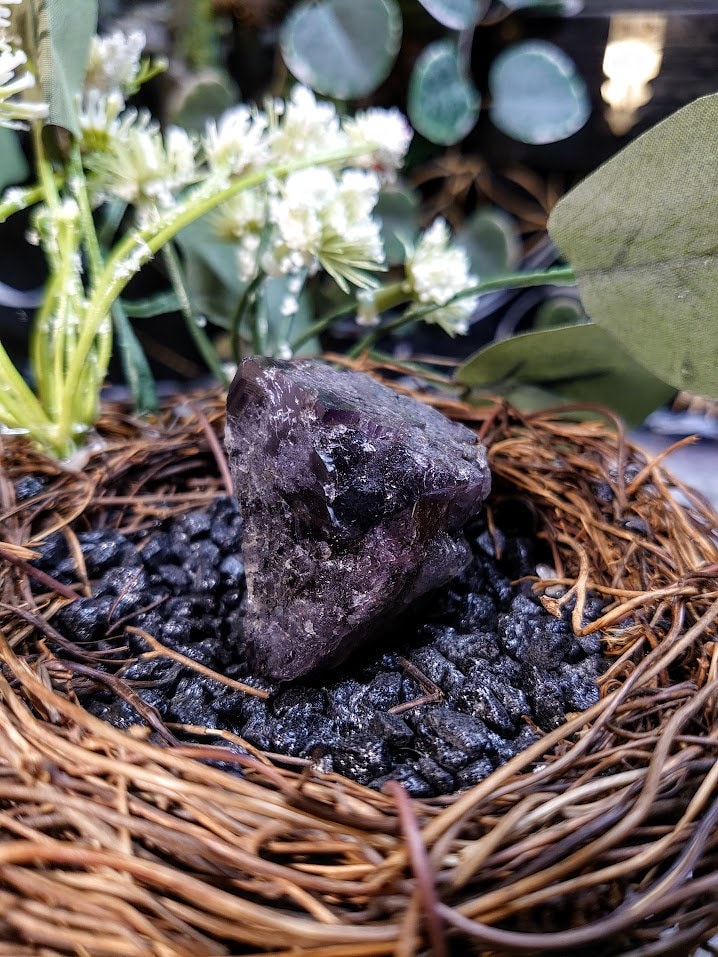 65.3g Smoky Purple Fluorite Crystal "Diana Maria Mine" From United Kingdom for Altar Decor / Meditation / Collection