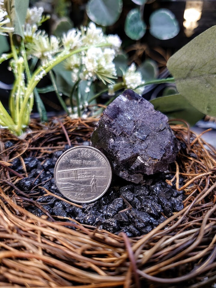 65.3g Smoky Purple Fluorite Crystal "Diana Maria Mine" From United Kingdom for Altar Decor / Meditation / Collection