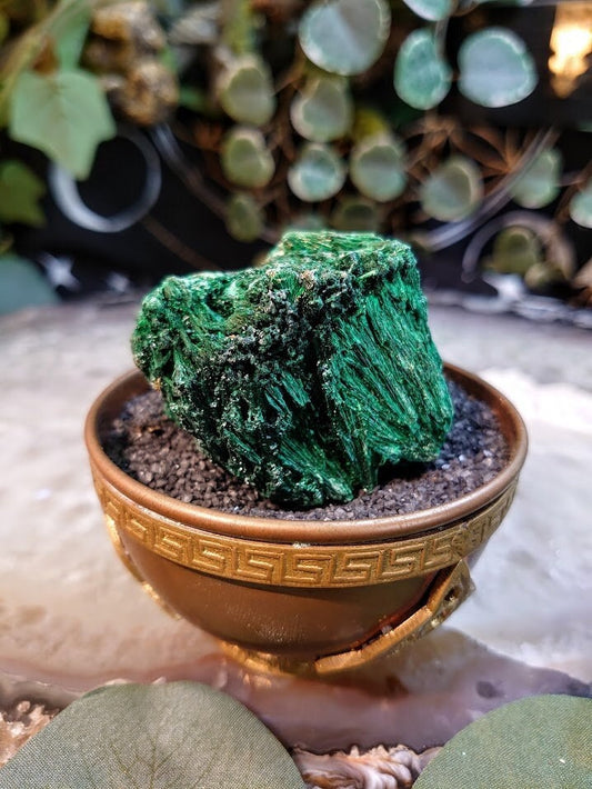 125g Silky Fibrous Malachite Specimen from Kasompe, Congo for Home and Altar Decor / Collection / Crystal Healing